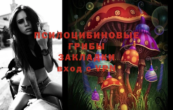 spice Ладушкин