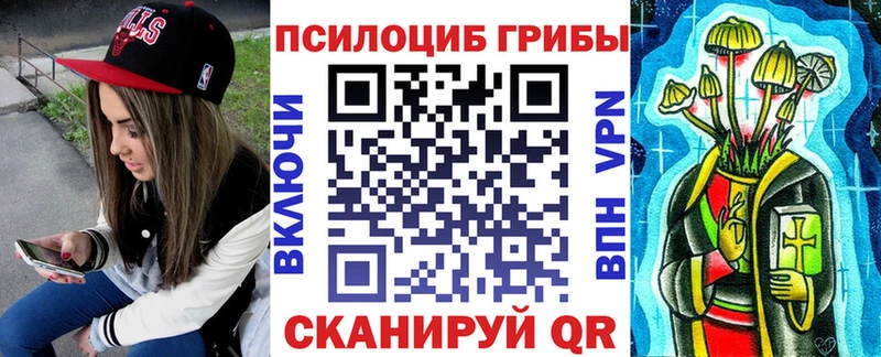 Галлюциногенные грибы Psilocybine cubensis Минеральные Воды