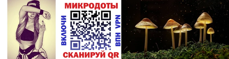 цены наркотик  даркнет как зайти  Галлюциногенные грибы мухоморы  Минеральные Воды 