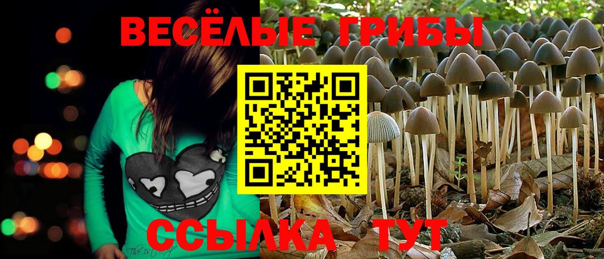 Псилоцибиновые грибы GOLDEN TEACHER Минеральные Воды
