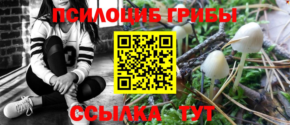 Псилоцибиновые грибы мухоморы  Вход с VPN  Минеральные Воды  Псилоцибиновые грибы Cubensis 