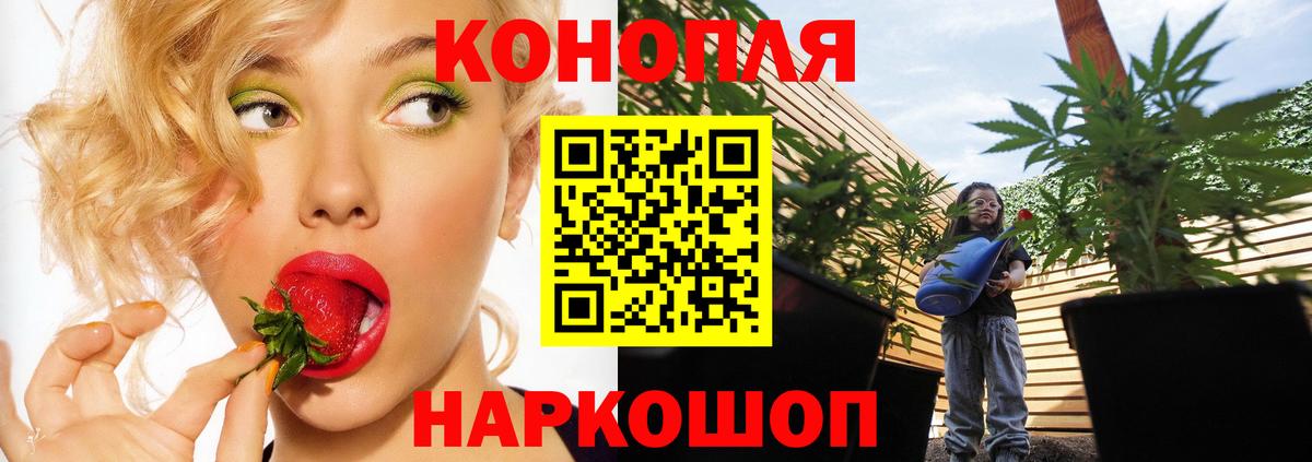 Минеральные Воды  Канабис Bruce Banner  Вход с VPN  Шишки марихуана план 